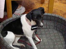 Resize of DSC06690.JPG